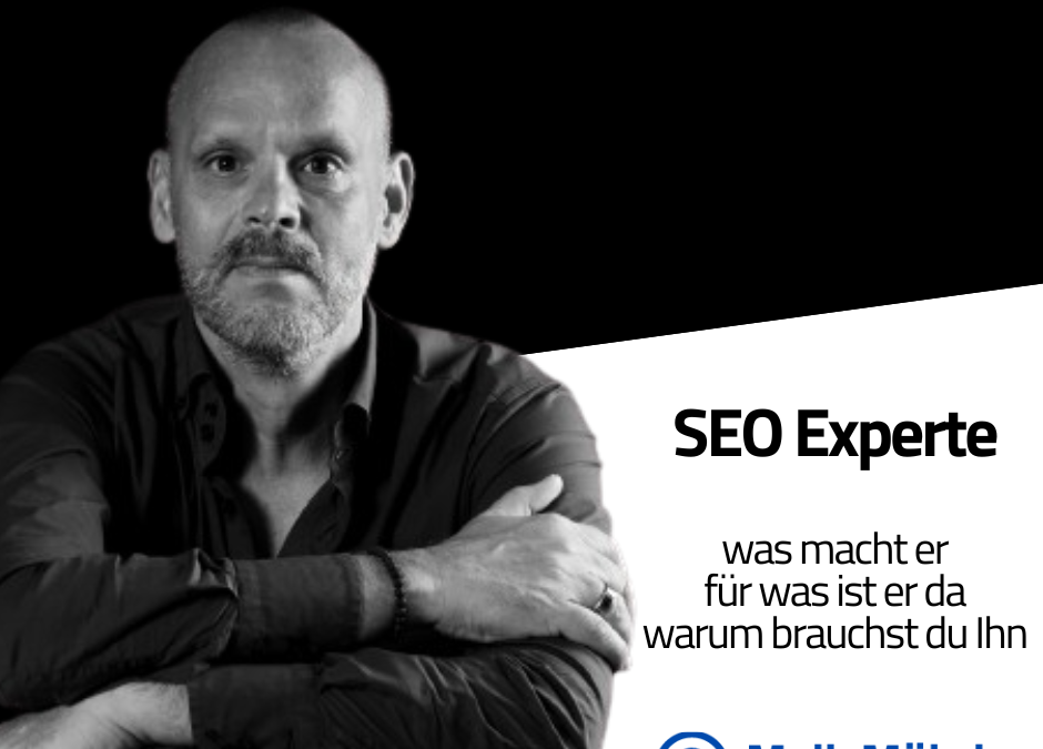 Suchmaschinen Optimierung Experte Vorteile